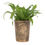 Thumbnail: Moon Gazing Hare  Bronze Terracotta Plant Pot by Lisa Parker