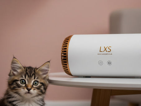 Let Nature In: A Softer Way to Scent Your Space