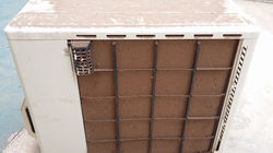 ANTES DA HIGIENIZAÇÃO