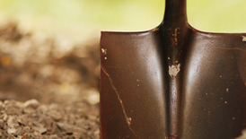 Planted, Not Buried