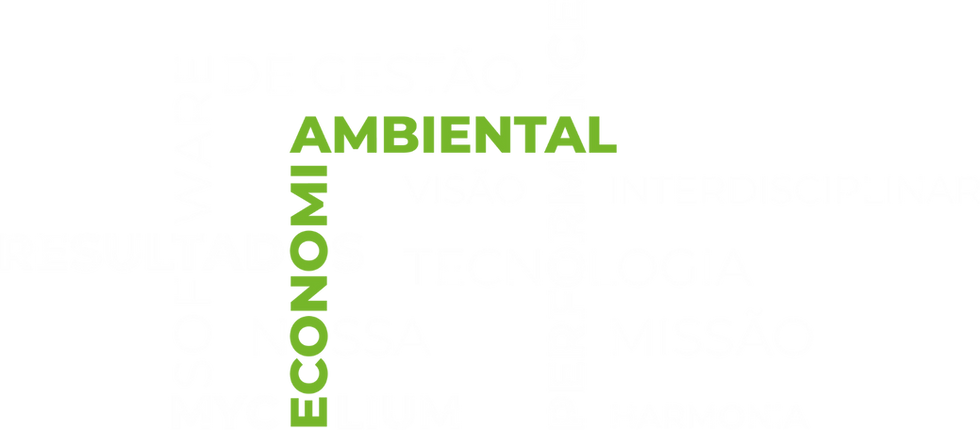 caça palavras audaz.png
