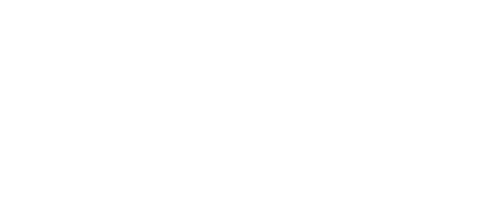 Logo audaz 1 cor.png
