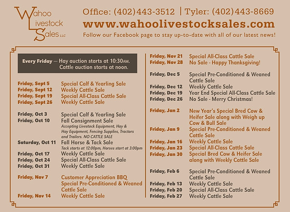 fall 2025 postcard.jpg