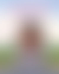 Lily's Story: A Guest Post by Danielle Ignace