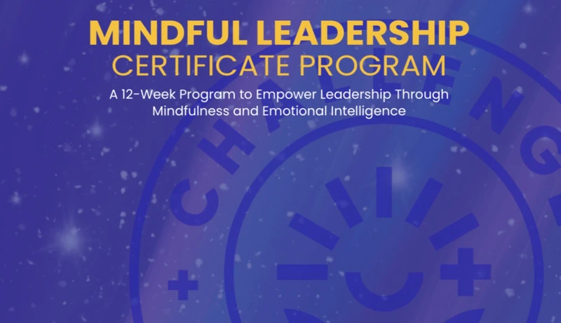 Participants engaged in a 12-week Mindful Leadership Program, developing emotional intelligence, mindfulness practices, and leadership skills for personal and professional growth