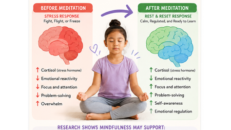 What Happens in the Brain During Meditation comparision 