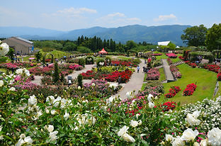 pixta_41605426_XL.jpg