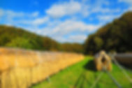 AdobeStock_238287782.jpeg