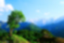 AdobeStock_212091158.jpeg