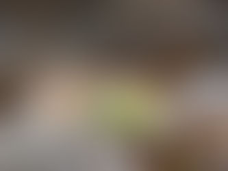 Introducing 'Nature Moments' - my email newsletter!