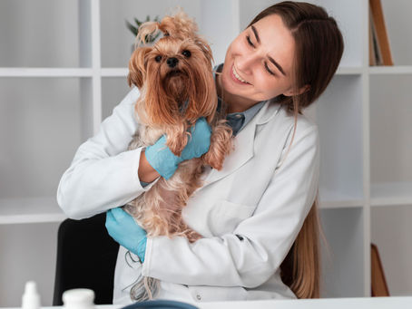 Consultas y vacunas para mascotas