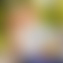 De verschillende pakketten voor het aanvragen van je NIE in Spanje: Wat past bij jouw situatie?