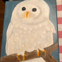 WHITE OWL ON BRANCH.jpg