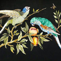 Medici Birds.png