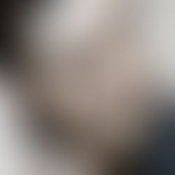 Costador “1954” Xarel.lo as Shia LaBeouf