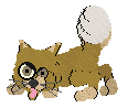 Nemu-250120202024-0.gif