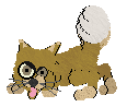 Nemu-250120202024-0.gif