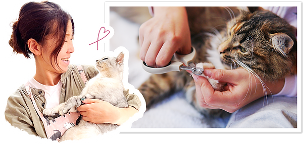 nail clippers.png