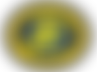 NSTSA Website Updates