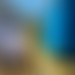 apprentis apiculteurs et abeilles calmes