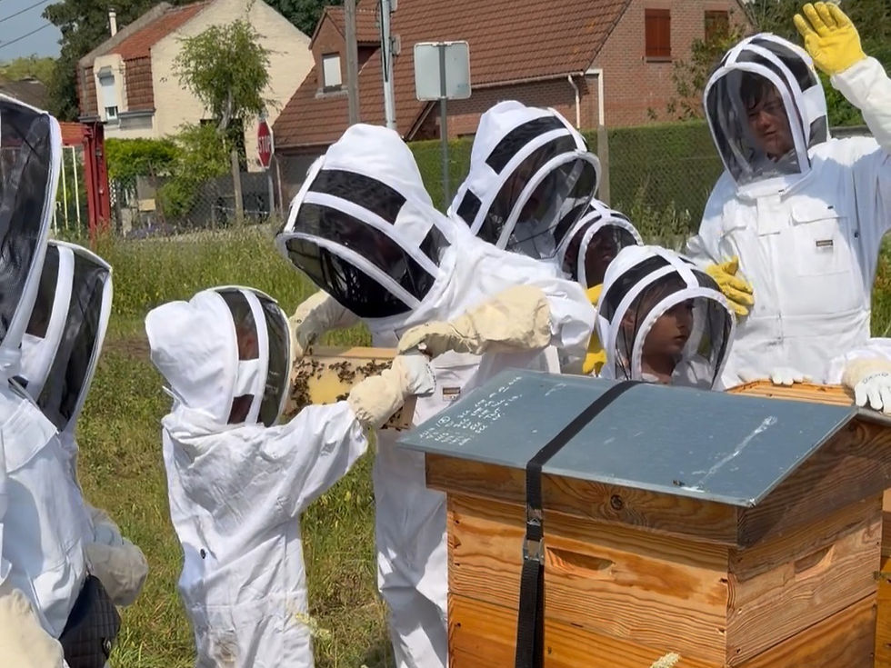 Visite des ruches avec les enfants du rucher-école de Faches-Thumesnil au sein de l'entreprise AGENOR