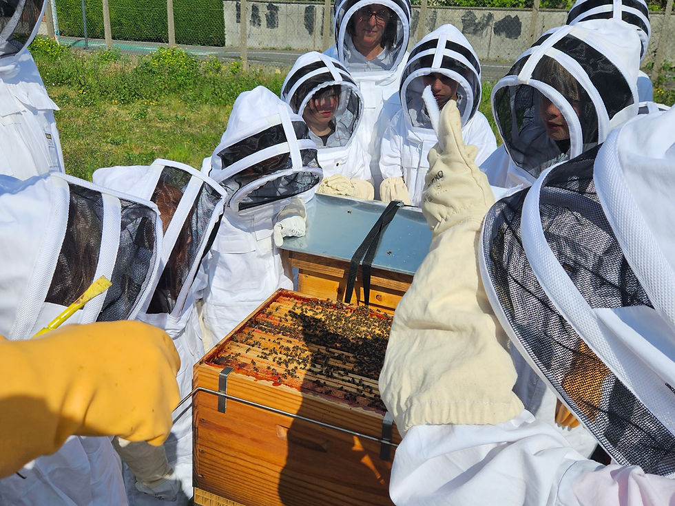 Les élèves du rucher-école de Faches-Thumesnil ouvrent les ruches du rucher d' AGENOR