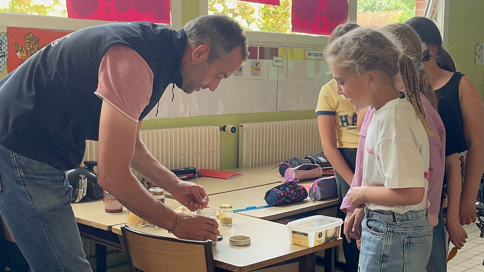 Serious Game de l'association ERINE à l'école Condorcet de Willems avec les élèves de CM1