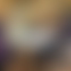 La Malette VR ERINE au coeur de Lille Neige dans la ville de Lille pour éveiller à l'importance des pollinisateurs