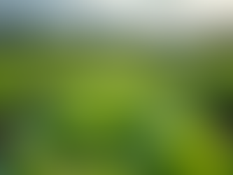 Explore the Unique Allure of Blackbird's Petals & Produce