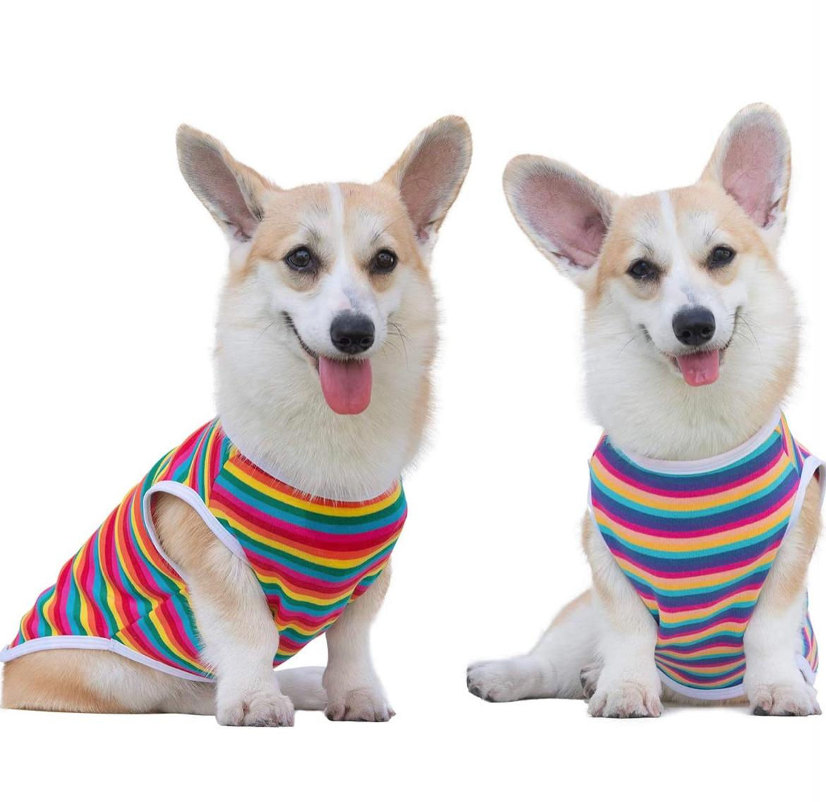 Rainbow & Purple Summer Colours Dog T-Shirts