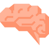 brain (2).png