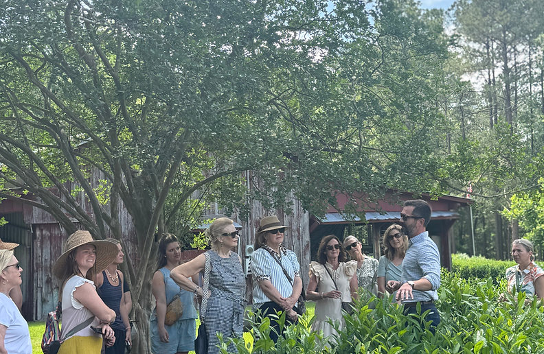 2026 Seasonal Membership - Spring