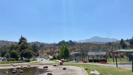 Walking in a "Summer" Wonderland