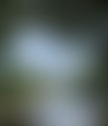 ”気功研究会”