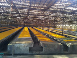 IMG-20131122-WA0021_resized