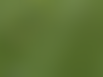 Barça 1-0 Las Palmas