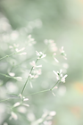 photo site.png