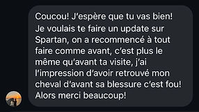 Soin holistique spartan Coralie.jpg