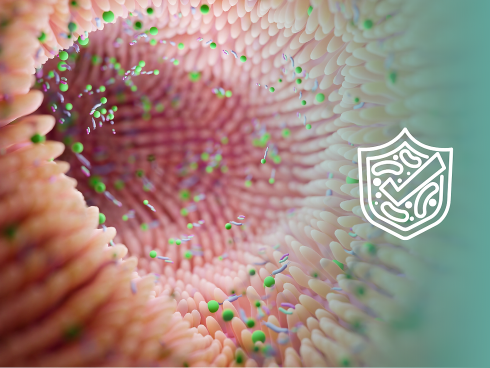 microbiote intestinal