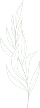 feuille verte naturopathie animale