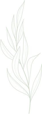 feuille