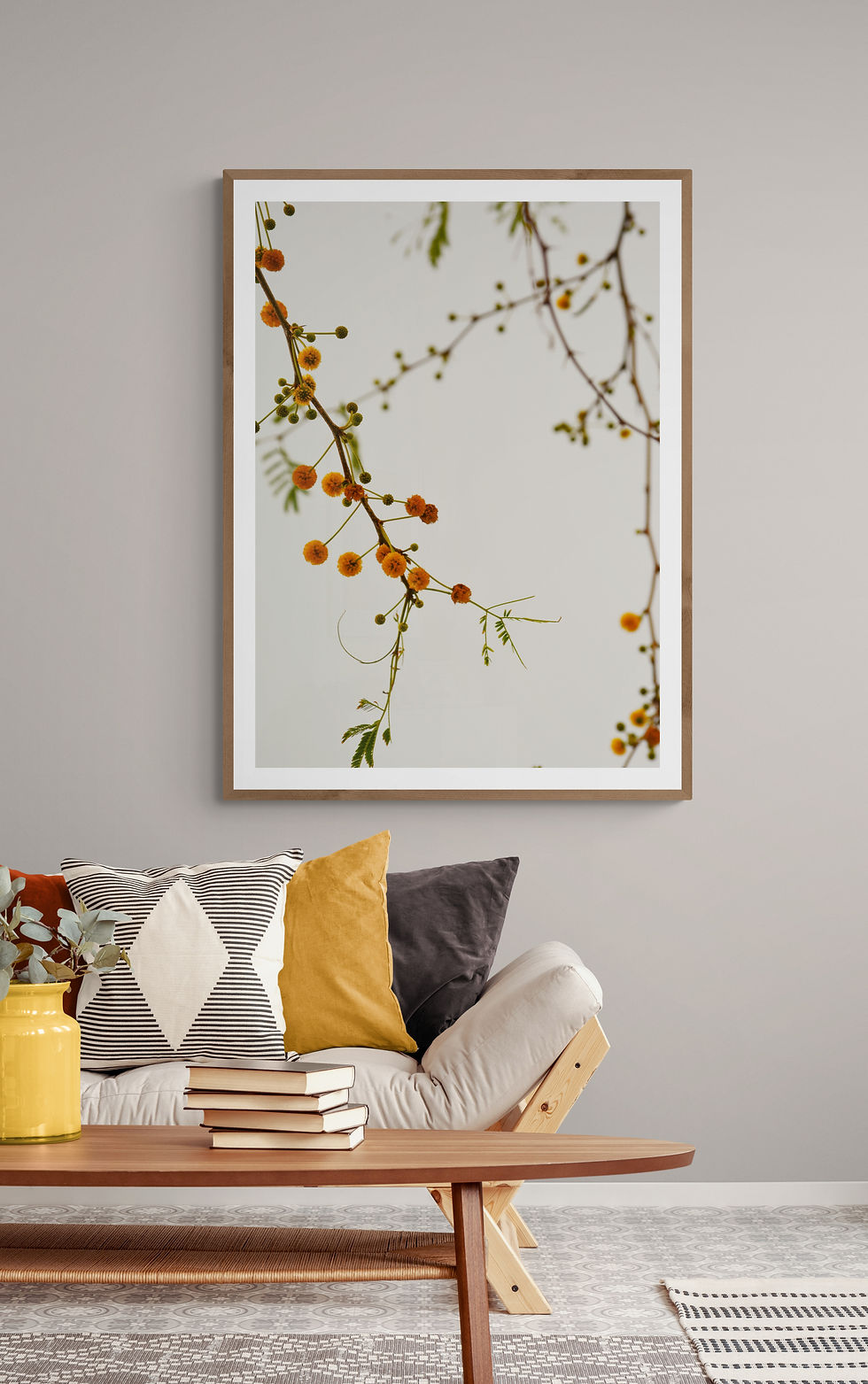 minimal doğa dalı soft tonlar botanik fotoğraf poster tablo ahşap çerçeveli görünüm