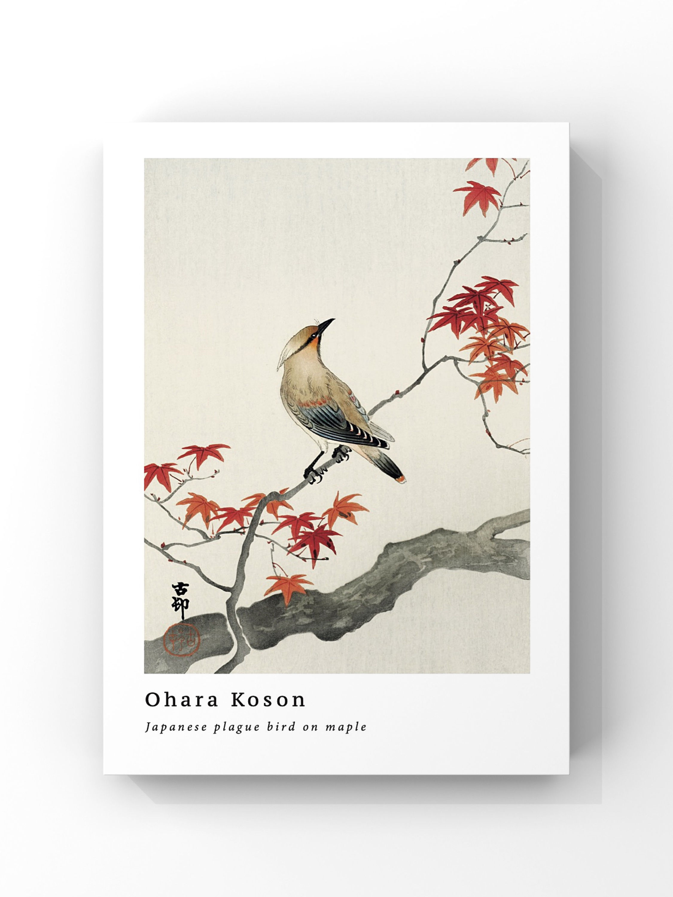 Ohara Koson - Japanese Plague Bird on Maple Poster Tablo