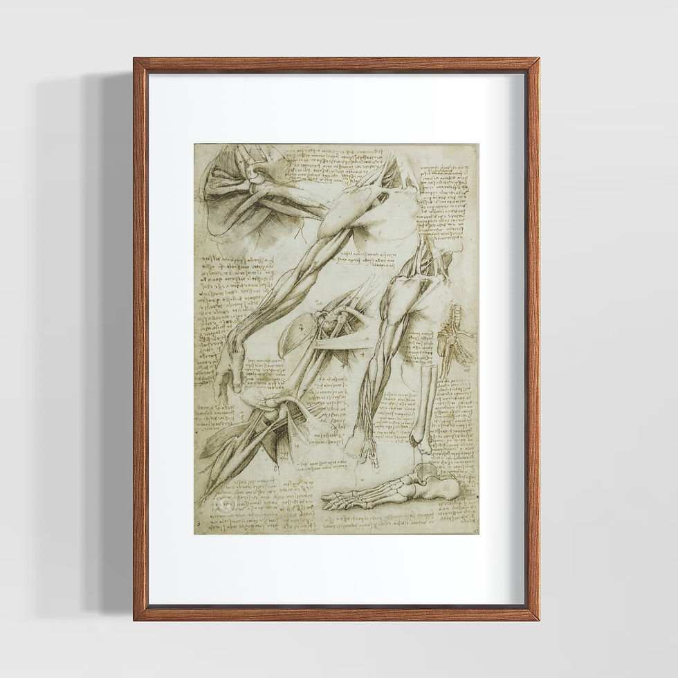 Küçük resim: "Leonardo Da Vinci Eskizleri " Seri 2 Poster Tablo