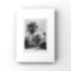 Palm Trees No.3 Poster Tablo çerçevesiz siyah beyaz palmiye gravür illüstrasyonu