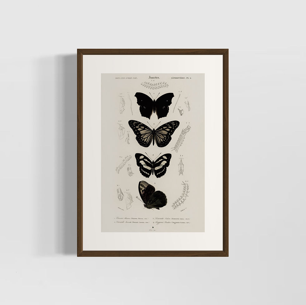 Küçük resim: "Bouquet" No.3 Poster Tablo