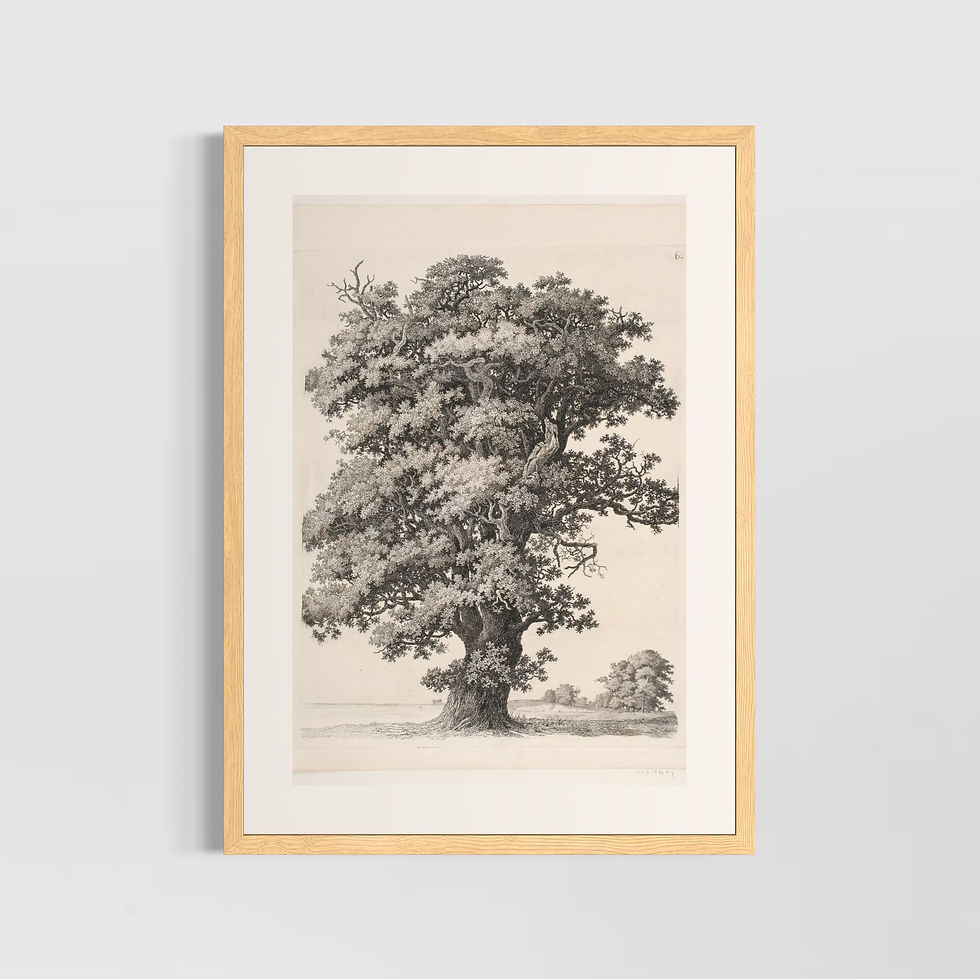 Küçük resim: Vintage Doğa Manzaraları No.2 Poster Tablo ahşap çerçeveli görünüm