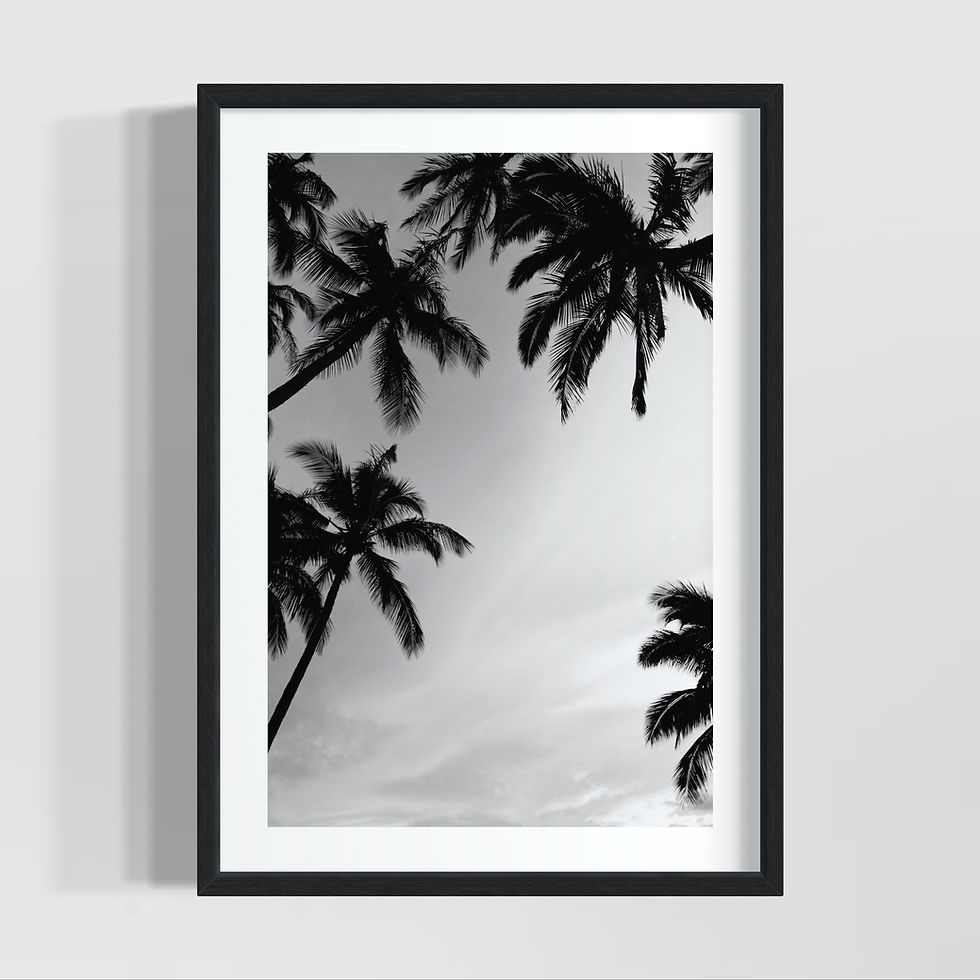 Küçük resim: Siyah-beyaz palmiye ağacı siluetli minimalist doğa posteri – Natural World Seri 3