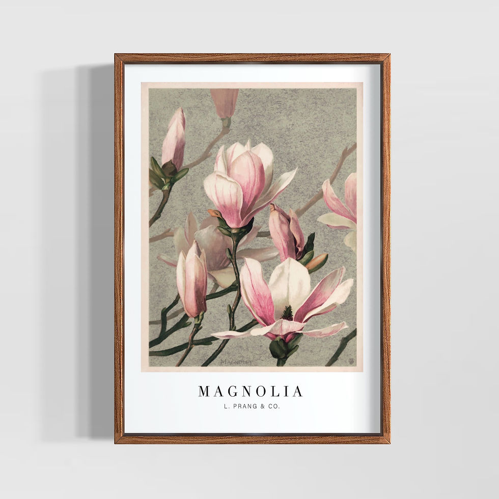 Küçük resim: L. Prang & Co. - Magnolia Poster Tablo
