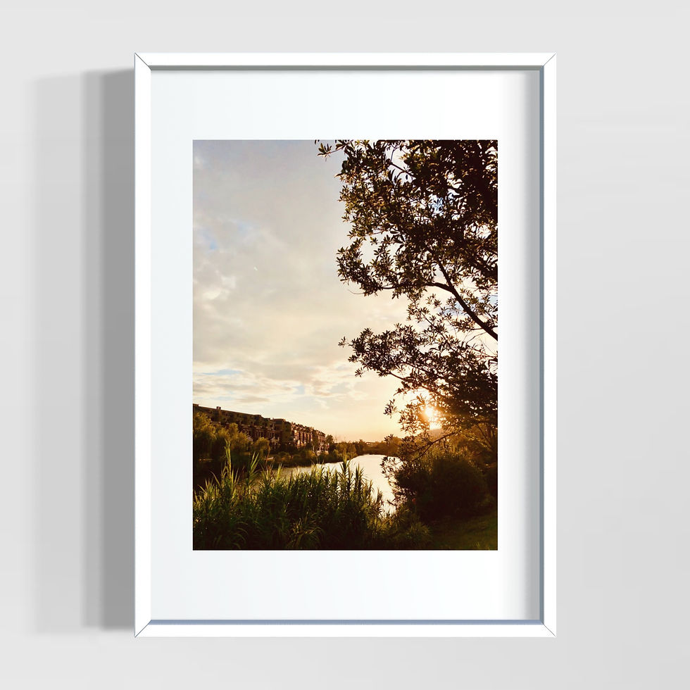 Küçük resim: Natural Tones Seri 2 Poster Tablo